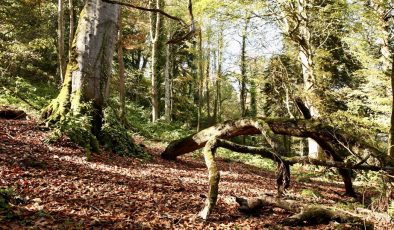 Doğal güzellikleriyle ünlü: Doyumsuz manzarasıyla dikkat çekti