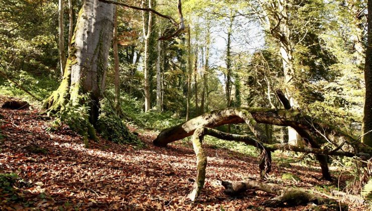 Doğal güzellikleriyle ünlü: Doyumsuz manzarasıyla dikkat çekti