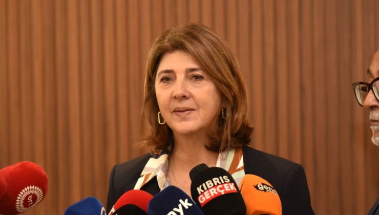 Holguín: “Liderlerle görüşmemin çok verimli ve somut olması için gayret göstereceğim”
