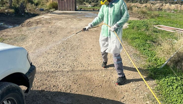 Çatalköy-Esentepe Belediyesi’nden şap hastalığına karşı üst düzey önlem