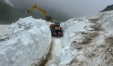 Doğu Anadolu’da yağan kar 5 ili etkisi altına aldı