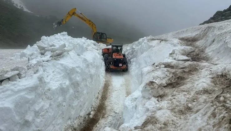 Doğu Anadolu’da yağan kar 5 ili etkisi altına aldı