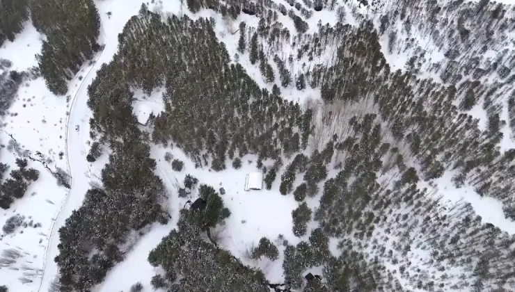 Aralık ayı Erzincan’a kar getirdi