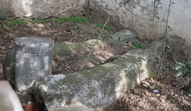 Kendi ailesini araştırırken önemli bir keşif yaptı. 105 yıl sonra ortaya çıkan gerçek