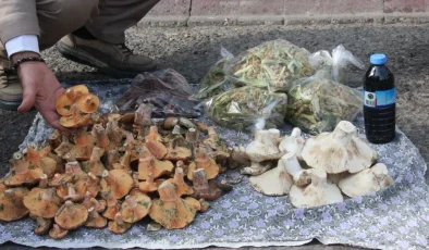 Yemesi lezzetli ama dikkat edilmezse tehlikeli. Ölüme kadar götürüyor