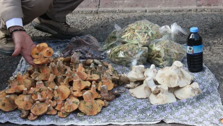 Yemesi lezzetli ama dikkat edilmezse tehlikeli. Ölüme kadar götürüyor