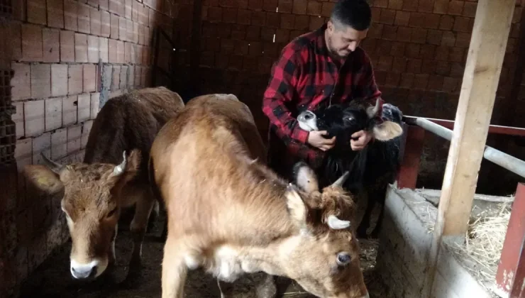 Almanya’dan memleketine geldi, kendi topraklarını işlemeyi seçti