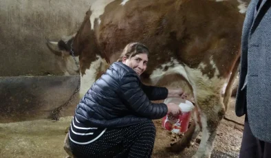 8 erkeği geride bırakan kadın muhtar. Hem çalışıyor hem mahalleyi yönetiyor