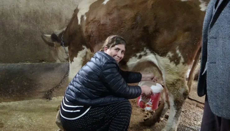 8 erkeği geride bırakan kadın muhtar. Hem çalışıyor hem mahalleyi yönetiyor