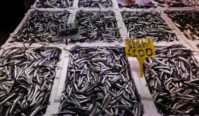 Günde 60-70 kasa satılıyordu. Az çıkarsa 100, bolsa kilosu 50 lira