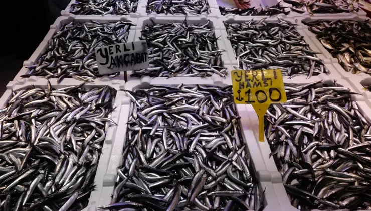 Günde 60-70 kasa satılıyordu. Az çıkarsa 100, bolsa kilosu 50 lira