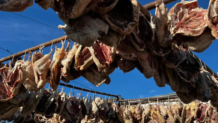 Önce tuzlanıyor, sonra kurutuluyor. Lezzeti sınırları aştı