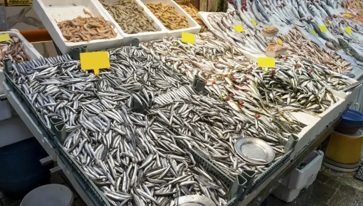 Sezon başında 50 TL’ye satılıyordu, fiyatı 3 katına çıktı