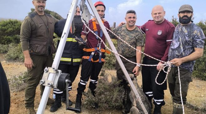 Kuyuya düşen köpeği itfaiye kurtardı