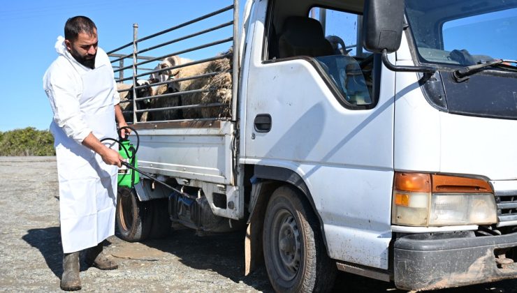 Belediyelerde şap alarmı