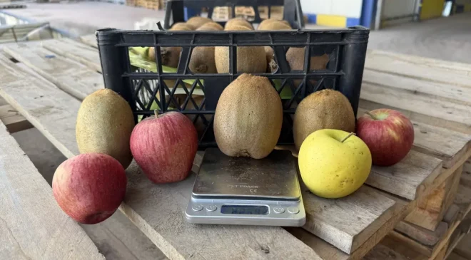 Tarımda sessiz devrim. 4 tanesi 1 kilogram ediyor, yoğun talep var