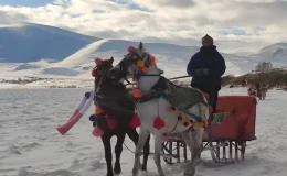 Halay çektiler, atlı kızakla gezdiler. Çıldır Gölü tamamen dondu
