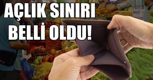 Açlık sınırı 38 bin, yoksulluk sınırı 206 bin TL oldu