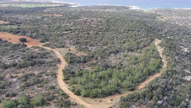“Doğal mirasa sahip çıkılmalı”