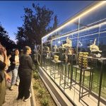 “Akdeniz’in Sessiz Tanığı: Zeytin Sergisi” sanatseverlerle buluştu