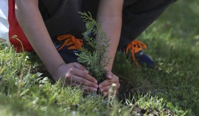 AB’den ağaç dikim etkinliği