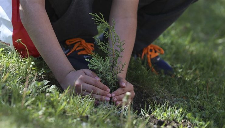 AB’den ağaç dikim etkinliği