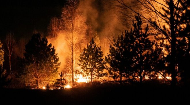 ABD’nin Georgia eyaletinde orman yangınlarında 120’den fazla ev kül oldu