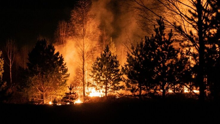 ABD’nin Georgia eyaletinde orman yangınlarında 120’den fazla ev kül oldu