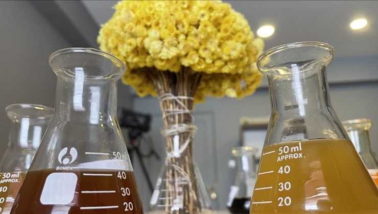 Bitkisel ürünlerin bilinçsiz kullanımı ciddi sağlık sorunlarına yol açabiliyor