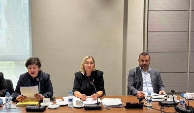 Hukuk, Siyasi İşler, Dışilişkiler ve Savunma Komitesi toplandı