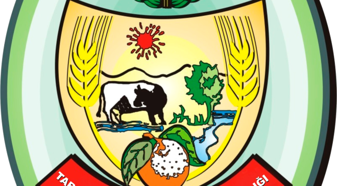 İçme Suyu Projesi bağlantı hatlarında ilerleme… Dört depoya su akışı sağlandı