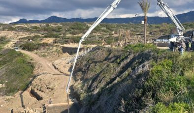 Kaplumbağaları Koruma Derneği’nden yetkililere çağrı: “Yuvalama sezonu öncesinde Kantara sahilinde önlem alın”