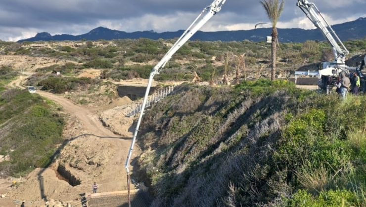 Kaplumbağaları Koruma Derneği’nden yetkililere çağrı: “Yuvalama sezonu öncesinde Kantara sahilinde önlem alın”