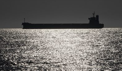 Kiev, İsrail’den “Rusya’nın Ukrayna’dan çaldığı” iddia edilen tahılı taşıyan gemiyi yakalamasını istedi