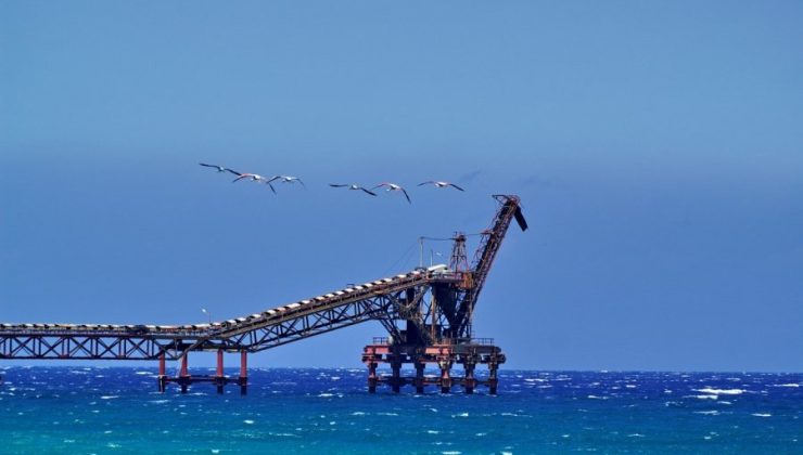 Lefke Çevre ve Ekoloji Derneği: “Çevre sorunları ertelenemez bir noktaya ulaştı. Acil ve somut adımlar atılmalı”