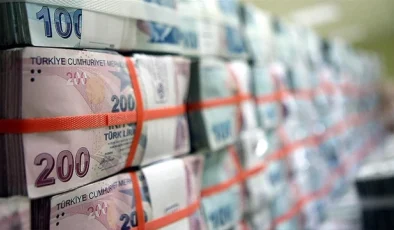 Türkiye Hazine ve Maliye Bakanlığı 1 Trilyon 848,3 Milyar Liralık Borçlanmaya Gidecek
