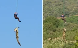 Güney Afrika’da dev timsahın midesinden çıkan terliklerin kayıp vakalarıyla bağı araştırılıyor
