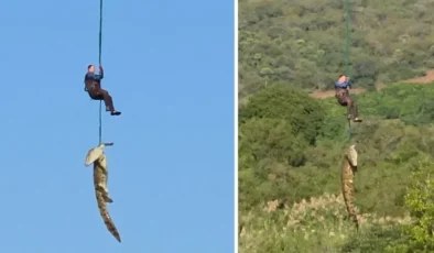 Güney Afrika’da dev timsahın midesinden çıkan terliklerin kayıp vakalarıyla bağı araştırılıyor