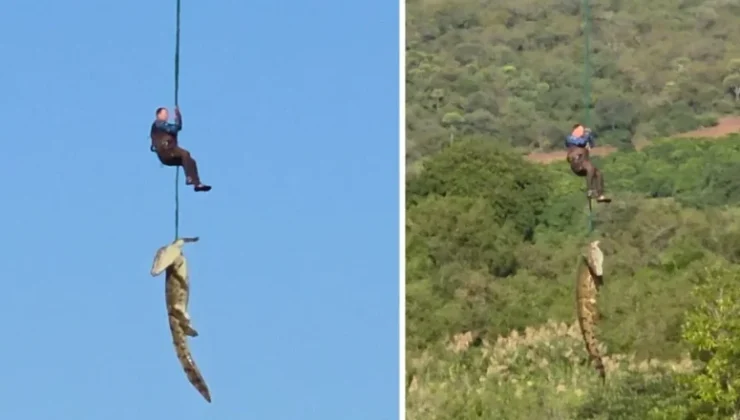 Güney Afrika’da dev timsahın midesinden çıkan terliklerin kayıp vakalarıyla bağı araştırılıyor