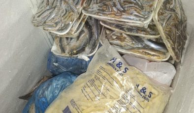 Tüketime uygun olmayan 16 kg balık imha edildi