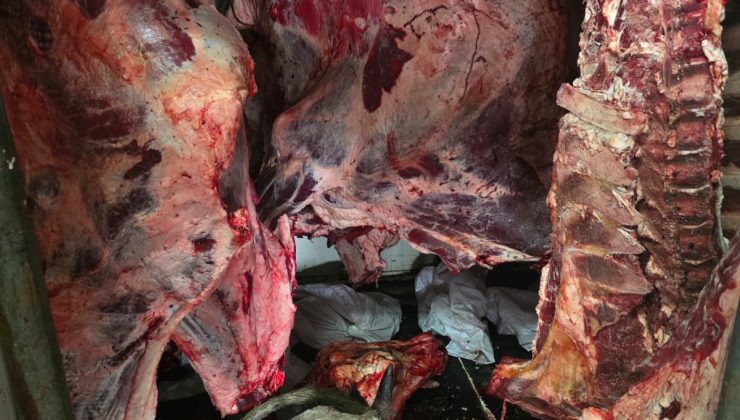 Hamitköy’de izinsiz ve sağlıksız koşullarda et kesen kişi ve ağıl sahibine ceza…