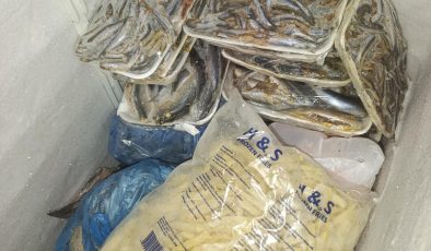 Hayvancılık Dairesi balık restoranlarını denetledi: 16 kilo balık imha edildi