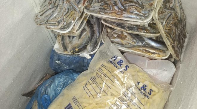 Hayvancılık Dairesi balık restoranlarını denetledi: 16 kilo balık imha edildi
