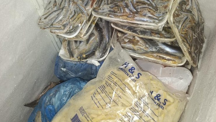 Hayvancılık Dairesi balık restoranlarını denetledi: 16 kilo balık imha edildi