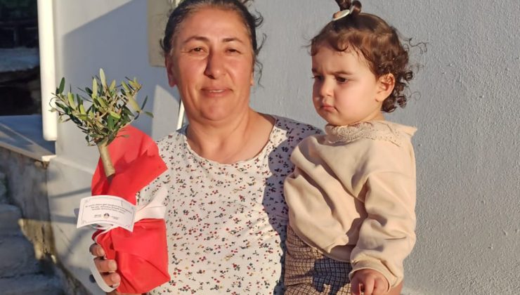 İskele Belediyesi, annelere, saksıda zeytin ağacı armağan ediyor
