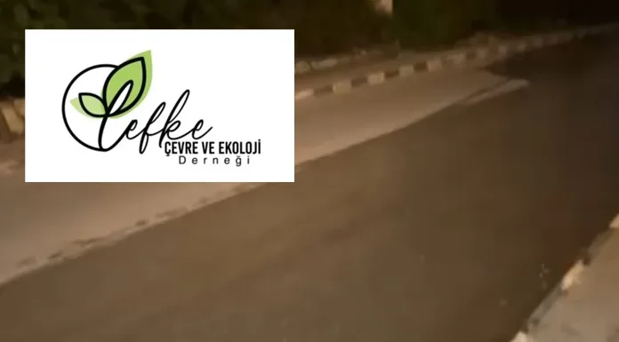 Lefke Çevre ve Ekoloji Derneği foseptik kuyunun yol açtığı çevre kirliliğine karşı uyardı
                                            2026-05-12 18:45:00