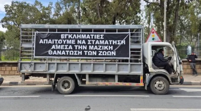 Güney’de hayvan itlafı ve gömülmesi sırasında gerginlik yaşandı