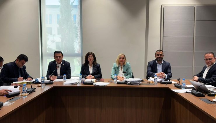 “Yabancılar ve Muhaceret (Değişiklik) Yasa Tasarısı” Genel Kurul’a sevk edildi