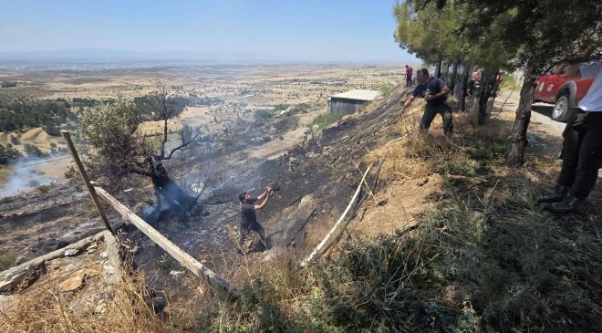 Alevler Hayvanların Olduğu Bölgeye 3 Metre Kala Söndürüldü