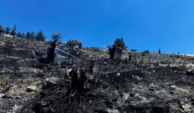 Taşkent’teki Yangın Koordineli Müdahaleyle Kontrol Altına Alındı